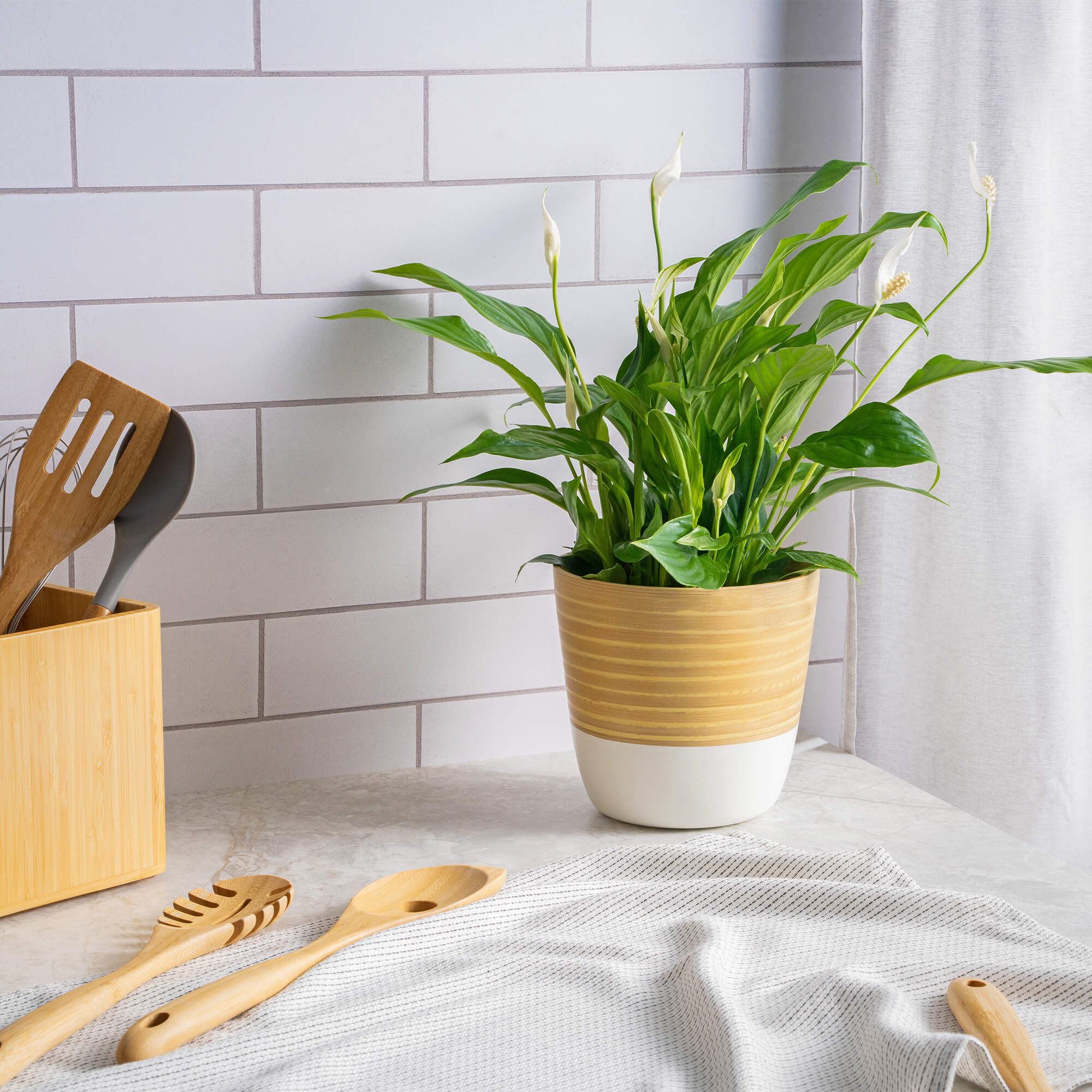 Dehaus Bamboo Indoor Plant Pots White, Grey, Navy Blue or Sage Green