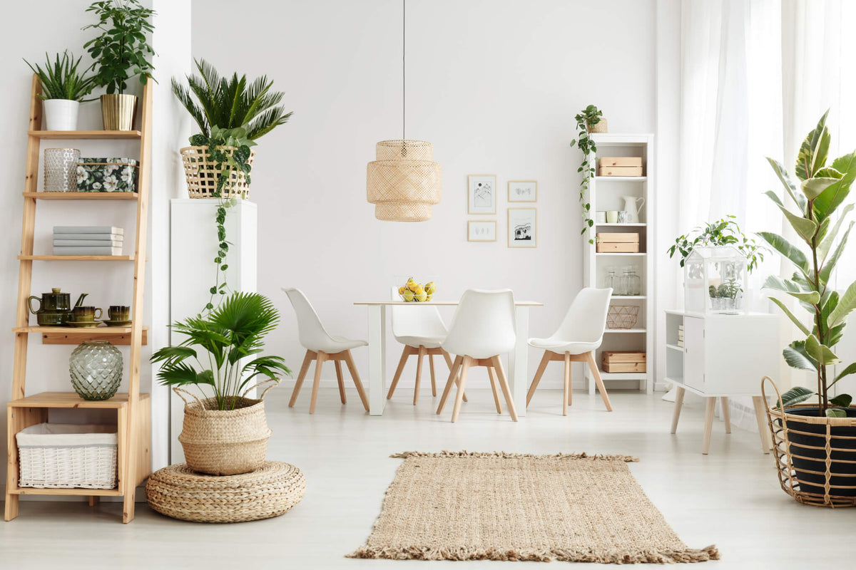 Dehaus® - Stylish & Beautiful Contemporary Homeware Products – Dehaus.com