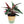 Load image into Gallery viewer, Dehaus Spun Bamboo Indoor Plant Pot (Sage Green)
