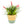 Load image into Gallery viewer, Dehaus Spun Bamboo Indoor Plant Pot (Sage Green)
