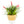 Load image into Gallery viewer, Dehaus Spun Bamboo Indoor Plant Pot (White)
